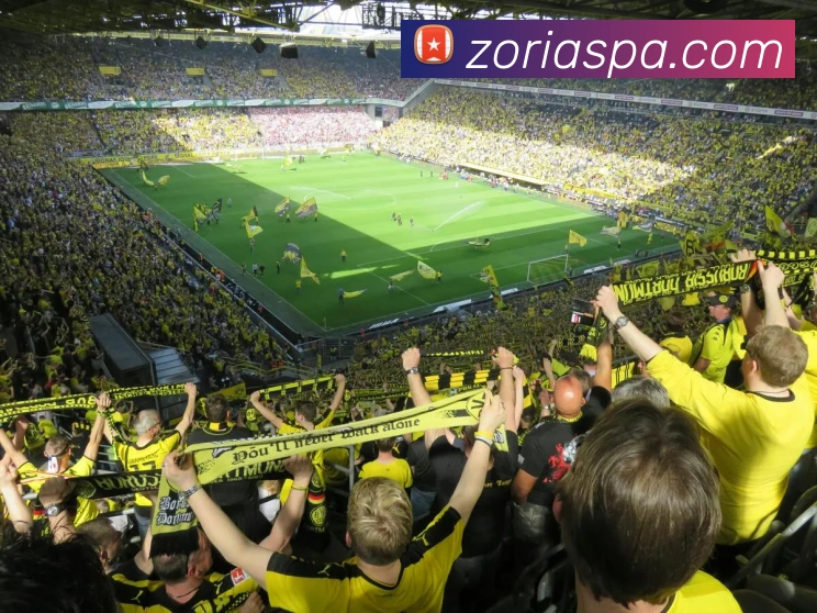 pa真人视讯APP 高清赛事图